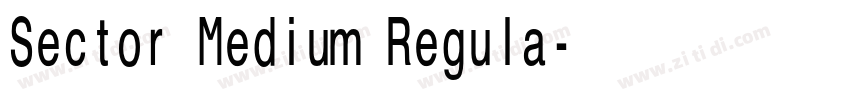 Sector Medium Regula字体转换 Sector Medium Regula字体转换